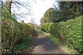 Access lane to Holy Trinity Church, Trimpley, Worcs