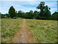 Footpath on Mawking Hill, North Rigton