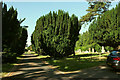 Devizes Road Cemetery, Salisbury