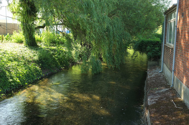 Watercourse, Salisbury
