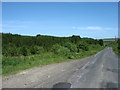 The road in Craik Forest