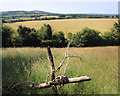 View from Callows Hill