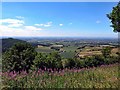 View from Sutton Bank