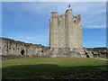 SK5198 : The Keep of Conisbrough Castle by Philip Halling