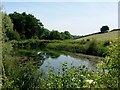 Pond at Hart