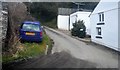 Cornish lane in Looe Valley