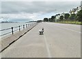 New Brighton, Magazines Promenade