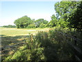 Footpath towards Holme Farm and Caunton