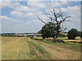 Track to Eakring Field Farm