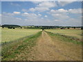 Track towards Newark Road near Tug Bridge Farm