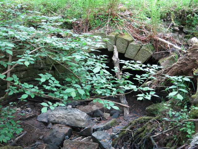 Langley Barony Lead Mine - water overflow tunnel