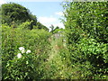 Robin Hood Way, off Back Lane at Eakring