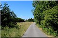 Hyndburn Greenway (2)