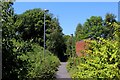 On the Hyndburn Greenway