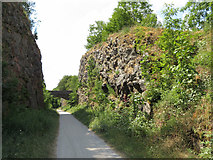 SK1172 : Monsal Trail: cutting and bridge near Chee Dale by Gareth James