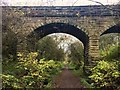 Bridge over former railway