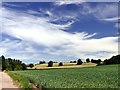 A big sky over Ordsall Hill