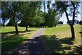 SO9283 : Public footpath in Stevens Park, Wollescote, Stourbridge by P L Chadwick