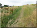 Field footpath ascending Hunger Hill, Hoylandswaine