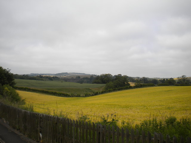 Field north east of Alnmouth station