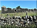 NS2656 : Lairdside Ruin by Raibeart MacAoidh
