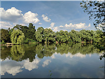 TQ2938 : Lake, Worth Park by Robin Webster