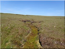NC5067 : Boggy Area South of An Ceann Geal by Chris and Meg Mellish