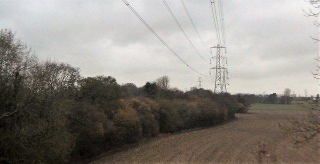 Pylons and hedge © N Chadwick :: Geograph Britain and Ireland