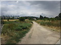 Footpath across The Hook