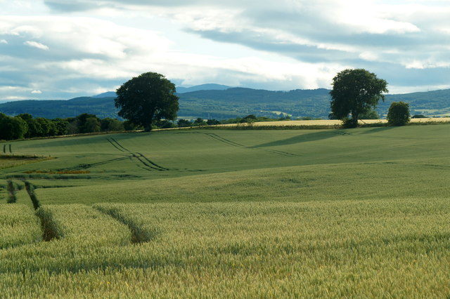 Fields at Milton beside the Beauly Firth