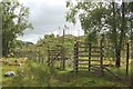 NN3180 : Gate in deer fence into forest by Graham Robson