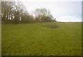 Grassy slope, Whitpot Hill