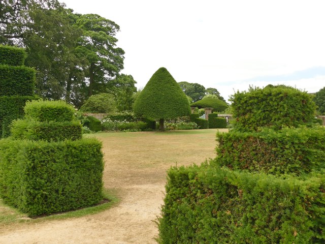 Yew hedging at Hardwick Hall