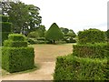 SK4663 : Yew hedging at Hardwick Hall by Graham Hogg