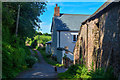 West Somerset : West Harwood Farm