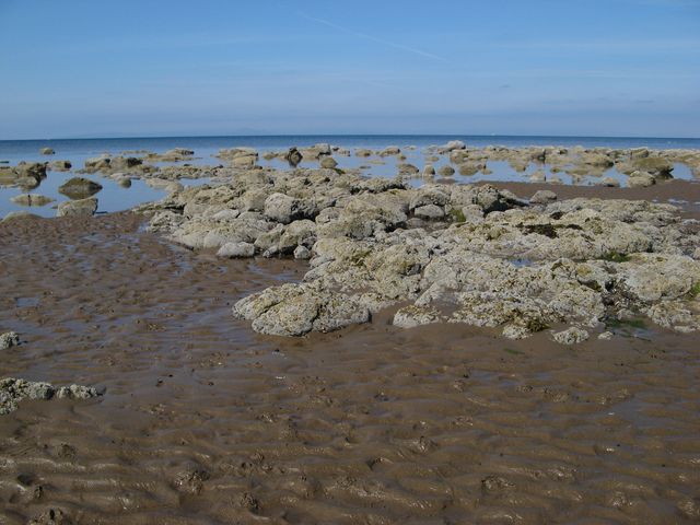 Rocks at the tide's edge