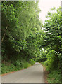 Lane past Higher Crockham Copse