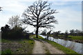 Royal Military Canal and path