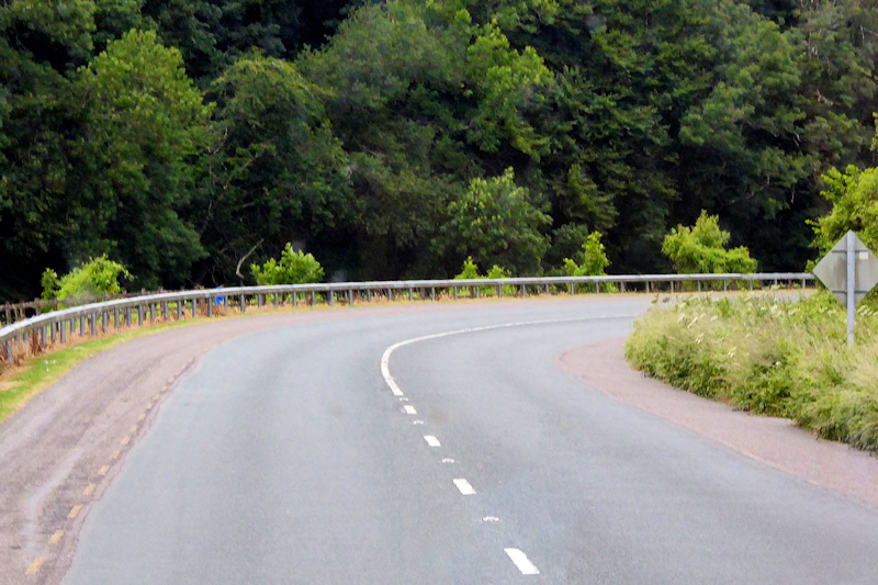 R600 Between Eastern Bridge And Belgooly © David Dixon Geograph