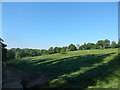 Path in Hampstead Heath