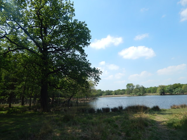 The edge of the larger of the Pen Ponds