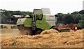 Harvesting the Barley