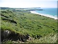 Ballintoy, coastal scrub