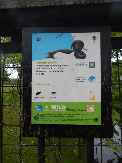 Tufted Duck sign