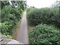 Hood Lane bridge