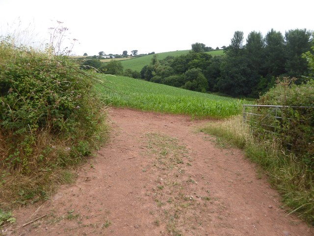 Field and valley north-west of Sandford