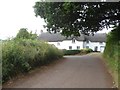 Thatched house north of Lower Creedy