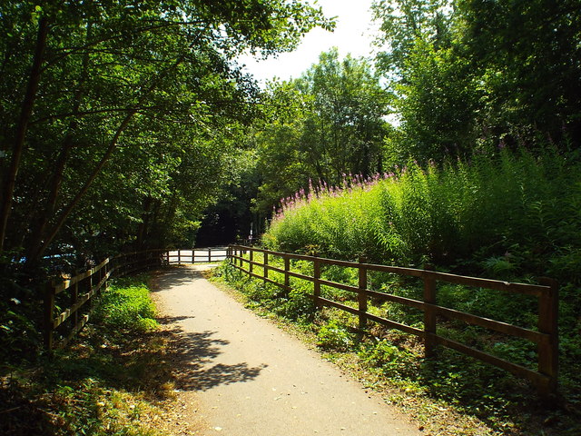 Forest Way, Forest Row