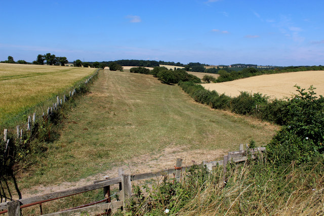 Towton Dale