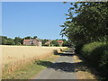 Lane to Eldmire Hill Farm